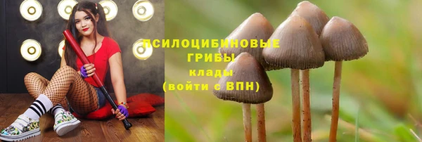 дживик Алексеевка