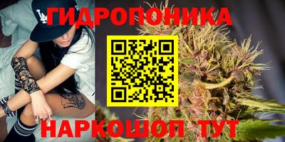 ALPHA PVP Камышлов