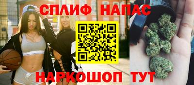 ALPHA PVP Камышлов